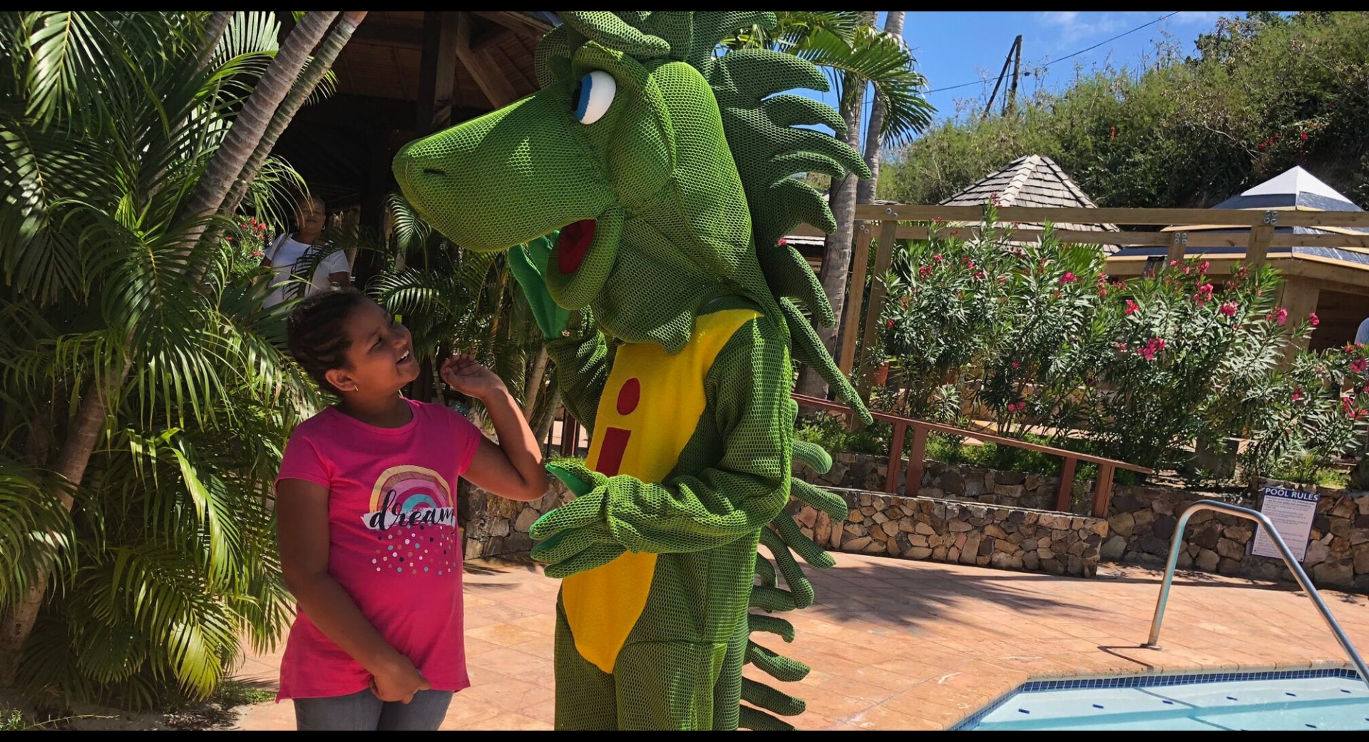‘Iggi' the iguana is helping children and families cope with post-hurricane stress