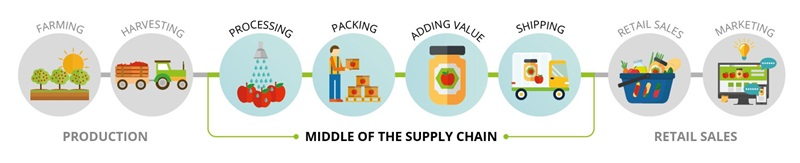 middle_supply_chain_graphic.png